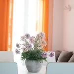 Hogar Vera Apartments&bikes Appartamento